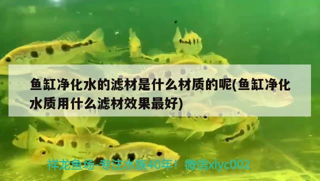 魚(yú)缸凈化水的濾材是什么材質(zhì)的呢(魚(yú)缸凈化水質(zhì)用什么濾材效果最好) 養(yǎng)魚(yú)知識(shí)