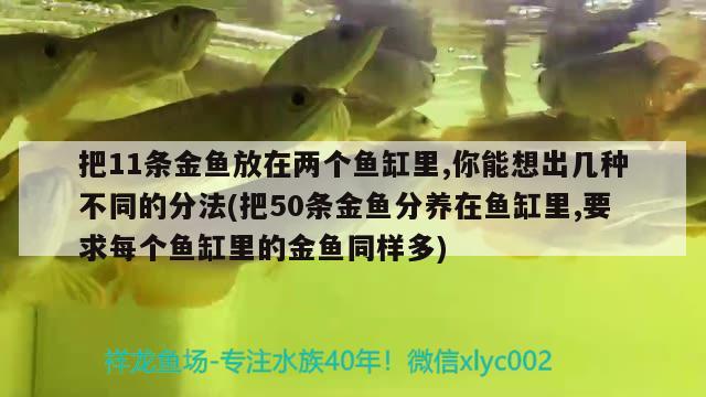 把11條金魚放在兩個魚缸里,你能想出幾種不同的分法(把50條金魚分養(yǎng)在魚缸里,要求每個魚缸里的金魚同樣多) 紅白錦鯉魚