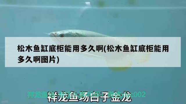 松木魚(yú)缸底柜能用多久啊(松木魚(yú)缸底柜能用多久啊圖片) 野生埃及神仙魚(yú)