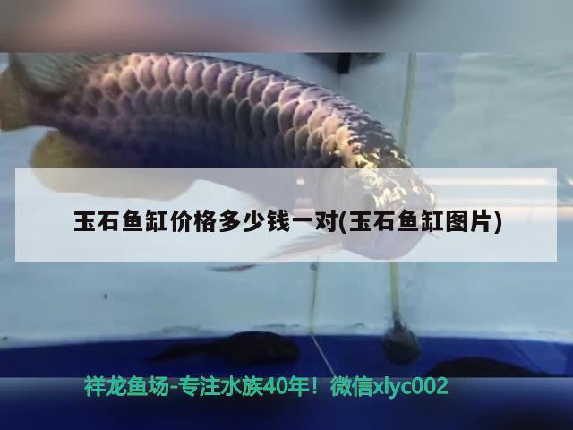 玉石魚缸價格多少錢一對(玉石魚缸圖片) 過背金龍魚