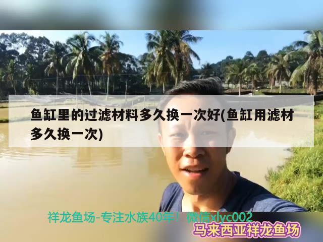 魚缸里的過濾材料多久換一次好(魚缸用濾材多久換一次)