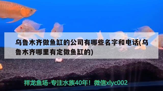 烏魯木齊做魚缸的公司有哪些名字和電話(烏魯木齊哪里有定做魚缸的) 委內(nèi)瑞拉奧里諾三間魚