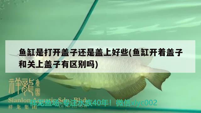 魚(yú)缸是打開(kāi)蓋子還是蓋上好些(魚(yú)缸開(kāi)著蓋子和關(guān)上蓋子有區(qū)別嗎)