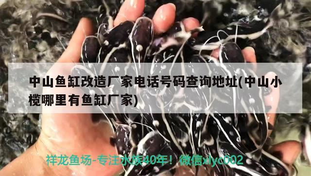 中山魚缸改造廠家電話號(hào)碼查詢地址(中山小欖哪里有魚缸廠家)