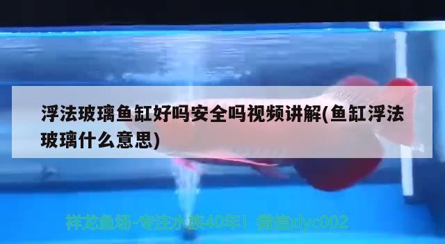 浮法玻璃魚缸好嗎安全嗎視頻講解(魚缸浮法玻璃什么意思) 廣州水族器材濾材批發(fā)市場(chǎng)