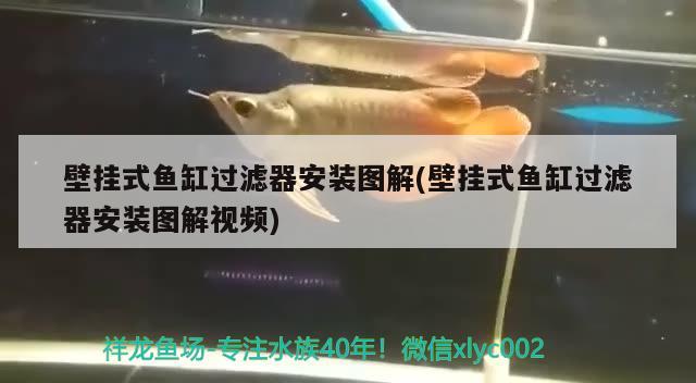 壁掛式魚缸過濾器安裝圖解(壁掛式魚缸過濾器安裝圖解視頻)