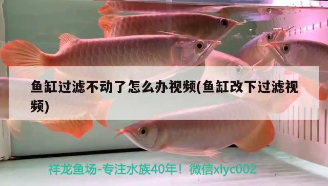 魚缸過濾不動了怎么辦視頻(魚缸改下過濾視頻) 白玉紅龍魚