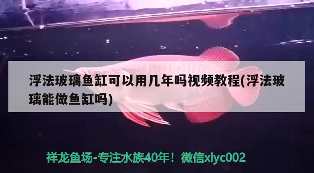 浮法玻璃魚缸可以用幾年嗎視頻教程(浮法玻璃能做魚缸嗎) 殺菌消毒設(shè)備