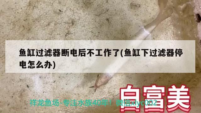 魚缸過濾器斷電后不工作了(魚缸下過濾器停電怎么辦) 鐵甲武士