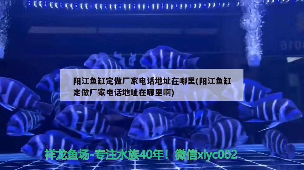 陽江魚缸定做廠家電話地址在哪里(陽江魚缸定做廠家電話地址在哪里啊)