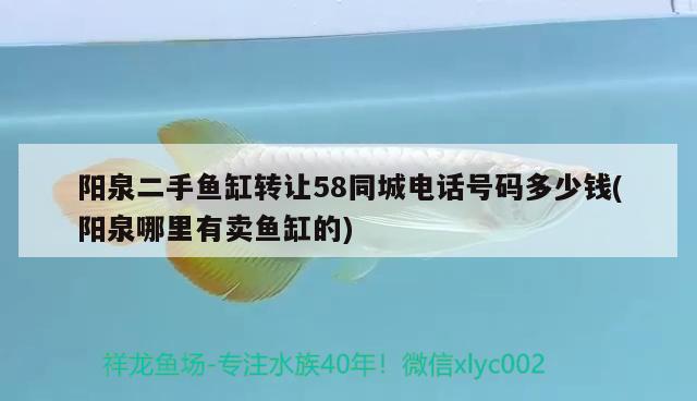 陽泉二手魚缸轉(zhuǎn)讓58同城電話號碼多少錢(陽泉哪里有賣魚缸的)