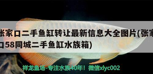 張家口二手魚缸轉(zhuǎn)讓最新信息大全圖片(張家口58同城二手魚缸水族箱)