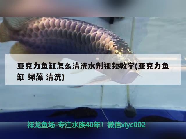 亞克力魚缸怎么清洗水劑視頻教學(xué)(亞克力魚缸綠藻清洗)