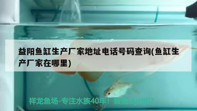 益陽魚缸生產廠家地址電話號碼查詢(魚缸生產廠家在哪里) 觀賞魚企業(yè)目錄