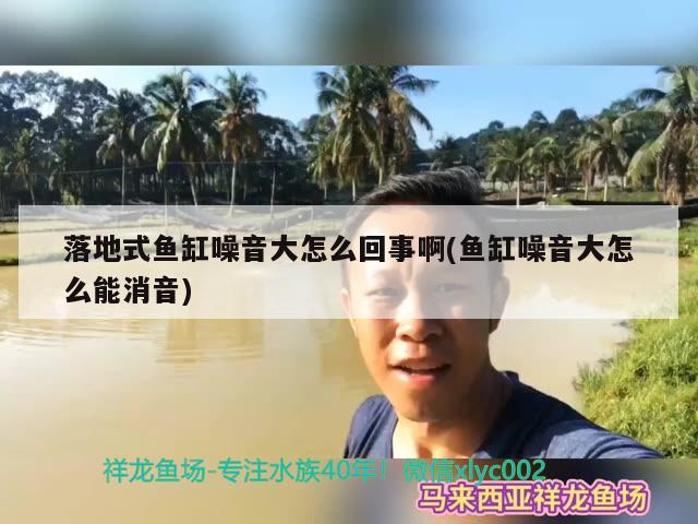 落地式魚缸噪音大怎么回事啊(魚缸噪音大怎么能消音) 定時器/自控系統(tǒng)