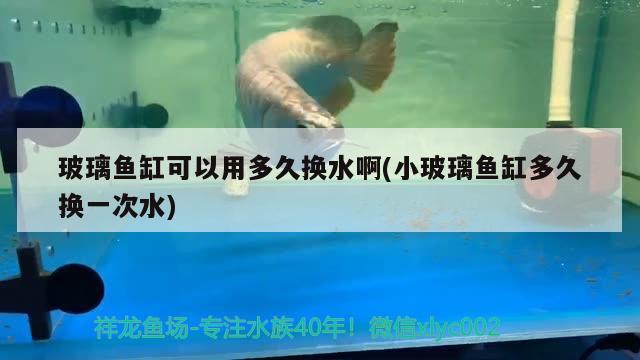 玻璃魚缸可以用多久換水啊(小玻璃魚缸多久換一次水)