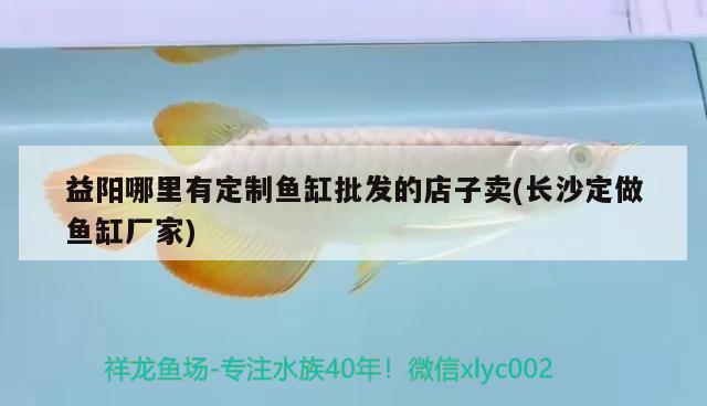 益陽哪里有定制魚缸批發(fā)的店子賣(長沙定做魚缸廠家) 帝王迷宮魚