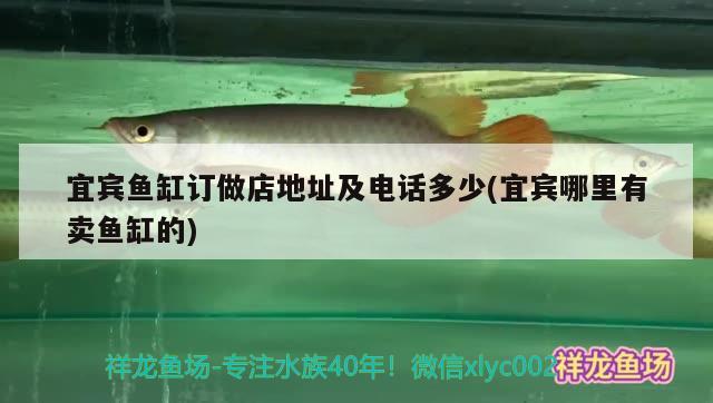 宜賓魚缸訂做店地址及電話多少(宜賓哪里有賣魚缸的) 養(yǎng)魚的好處