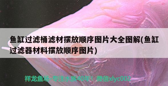 魚缸過濾桶濾材擺放順序圖片大全圖解(魚缸過濾器材料擺放順序圖片)