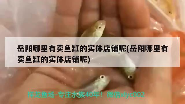 岳陽哪里有賣魚缸的實體店鋪呢(岳陽哪里有賣魚缸的實體店鋪呢)