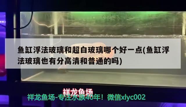 魚缸浮法玻璃和超白玻璃哪個好一點(魚缸浮法玻璃也有分高清和普通的嗎) 巴西亞魚苗