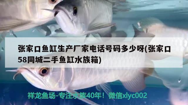 張家口魚缸生產(chǎn)廠家電話號碼多少呀(張家口58同城二手魚缸水族箱)