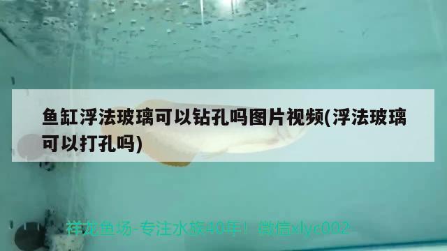 魚缸浮法玻璃可以鉆孔嗎圖片視頻(浮法玻璃可以打孔嗎) 圖騰金龍魚