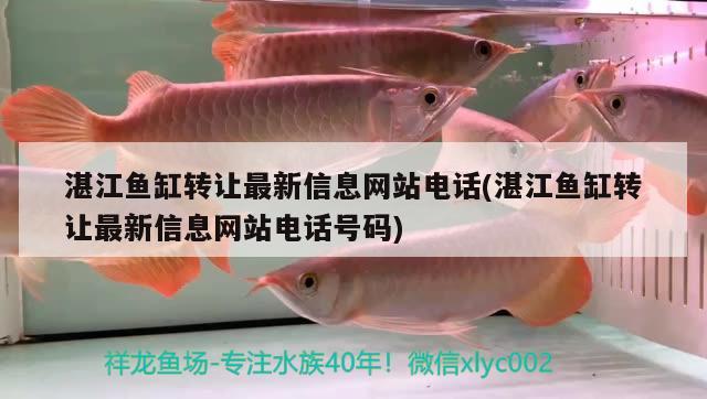 湛江魚(yú)缸轉(zhuǎn)讓最新信息網(wǎng)站電話(湛江魚(yú)缸轉(zhuǎn)讓最新信息網(wǎng)站電話號(hào)碼)