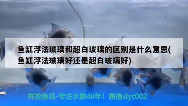 魚缸浮法玻璃和超白玻璃的區(qū)別是什么意思(魚缸浮法玻璃好還是超白玻璃好) 紅龍福龍魚