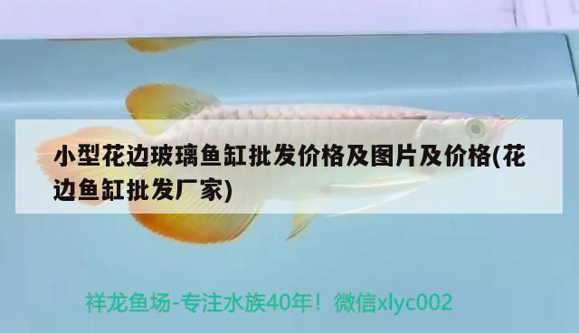 小型花邊玻璃魚缸批發(fā)價(jià)格及圖片及價(jià)格(花邊魚缸批發(fā)廠家) 狗仔（招財(cái)貓)魚苗