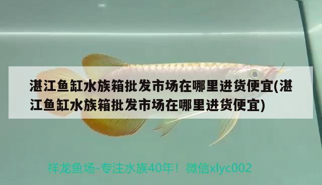 湛江魚缸水族箱批發(fā)市場在哪里進貨便宜(湛江魚缸水族箱批發(fā)市場在哪里進貨便宜) 魚缸/水族箱