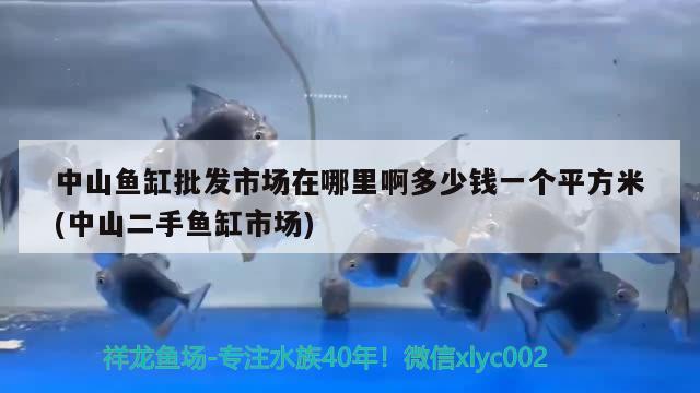 中山魚缸批發(fā)市場在哪里啊多少錢一個平方米(中山二手魚缸市場) 水族維護服務（上門）