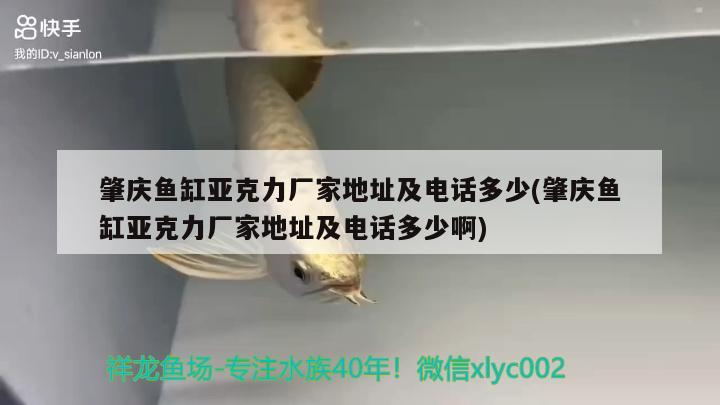 肇慶魚(yú)缸亞克力廠家地址及電話多少(肇慶魚(yú)缸亞克力廠家地址及電話多少啊)