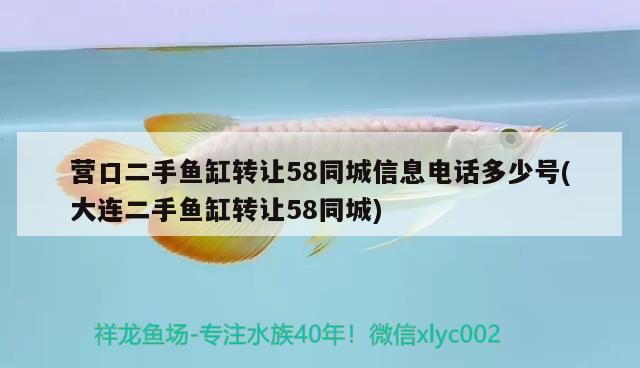 營口二手魚缸轉(zhuǎn)讓58同城信息電話多少號(大連二手魚缸轉(zhuǎn)讓58同城)