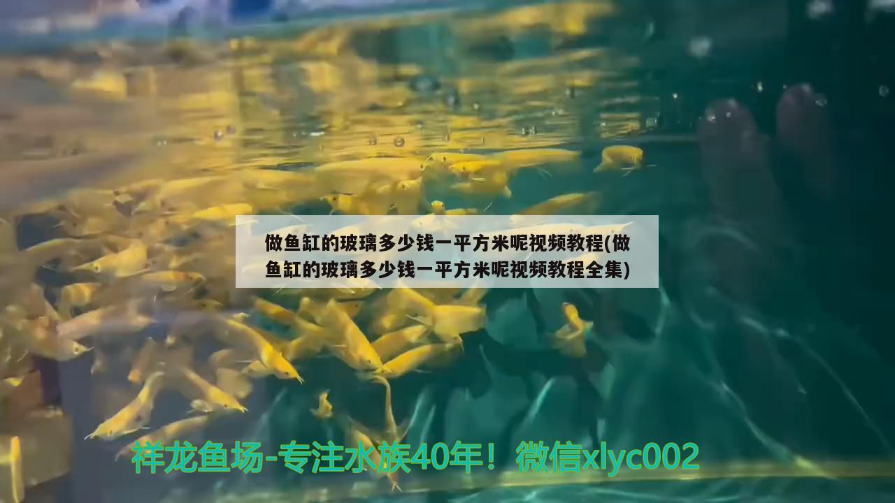 做魚(yú)缸的玻璃多少錢(qián)一平方米呢視頻教程(做魚(yú)缸的玻璃多少錢(qián)一平方米呢視頻教程全集)