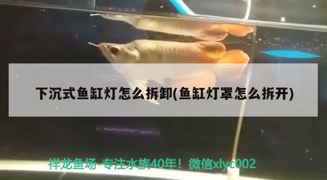 下沉式魚缸燈怎么拆卸(魚缸燈罩怎么拆開) 印尼虎苗