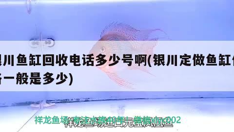 銀川魚缸回收電話多少號啊(銀川定做魚缸價格一般是多少)