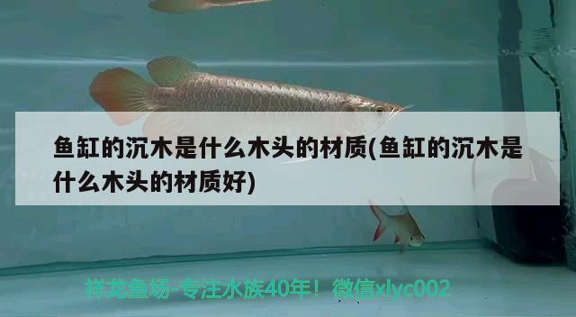 魚缸的沉木是什么木頭的材質(魚缸的沉木是什么木頭的材質好)