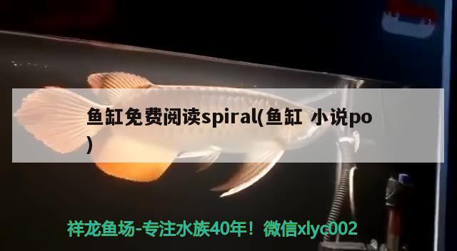 魚缸免費(fèi)閱讀spiral(魚缸小說po) 廣州祥龍國際水族貿(mào)易