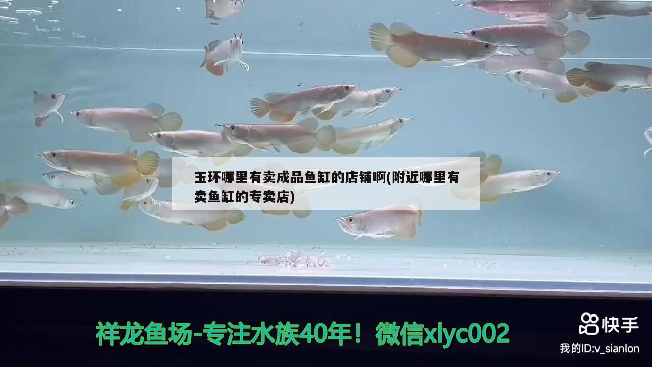 玉環(huán)哪里有賣成品魚缸的店鋪啊(附近哪里有賣魚缸的專賣店)