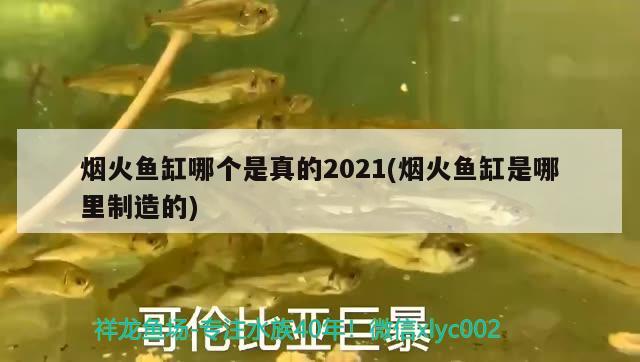 煙火魚缸哪個是真的2021(煙火魚缸是哪里制造的) 福滿鉆魚