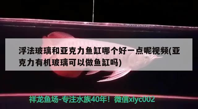 浮法玻璃和亞克力魚(yú)缸哪個(gè)好一點(diǎn)呢視頻(亞克力有機(jī)玻璃可以做魚(yú)缸嗎) 觀賞魚(yú)飼料