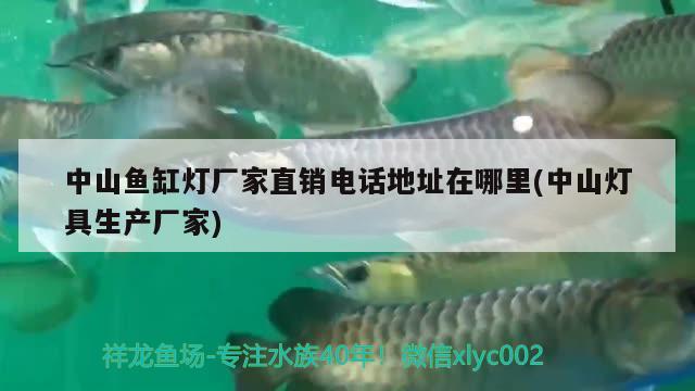 中山魚缸燈廠家直銷電話地址在哪里(中山燈具生產(chǎn)廠家)