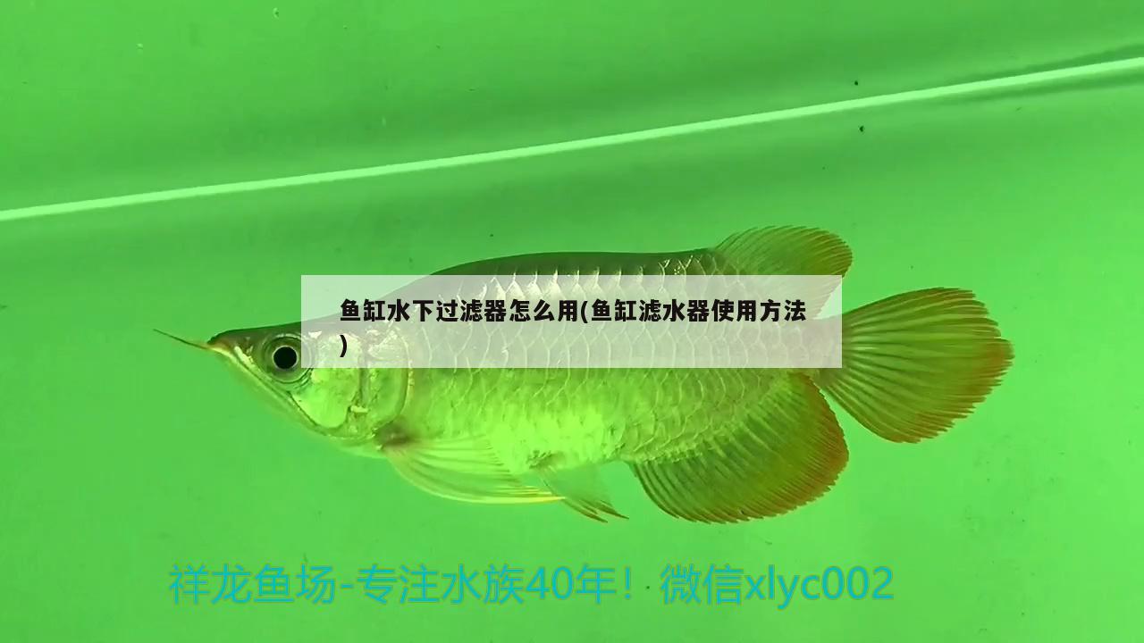 魚缸水下過濾器怎么用(魚缸濾水器使用方法)