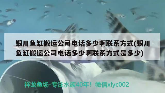 銀川魚缸搬運(yùn)公司電話多少啊聯(lián)系方式(銀川魚缸搬運(yùn)公司電話多少啊聯(lián)系方式是多少) 白寫錦鯉魚