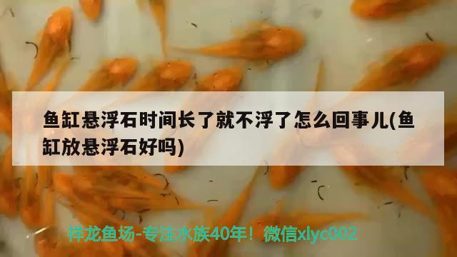 魚缸懸浮石時(shí)間長了就不浮了怎么回事兒(魚缸放懸浮石好嗎) 白化火箭魚