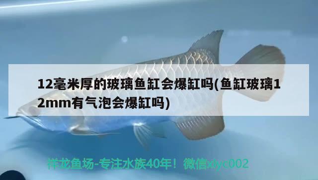 12毫米厚的玻璃魚缸會爆缸嗎(魚缸玻璃12mm有氣泡會爆缸嗎)