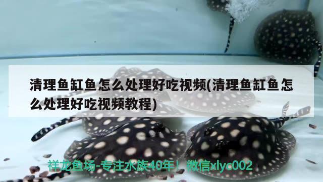 清理魚缸魚怎么處理好吃視頻(清理魚缸魚怎么處理好吃視頻教程) 祥龍龍魚魚糧