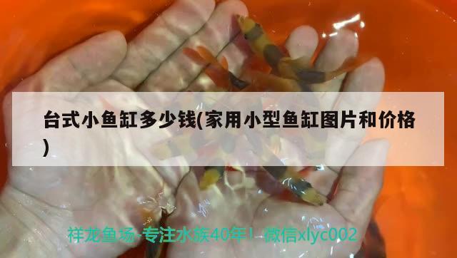 臺式小魚缸多少錢(家用小型魚缸圖片和價格) 印尼虎苗