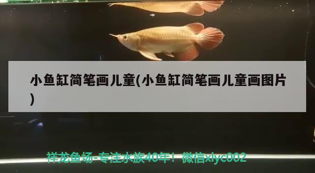 小魚(yú)缸簡(jiǎn)筆畫(huà)兒童(小魚(yú)缸簡(jiǎn)筆畫(huà)兒童畫(huà)圖片)